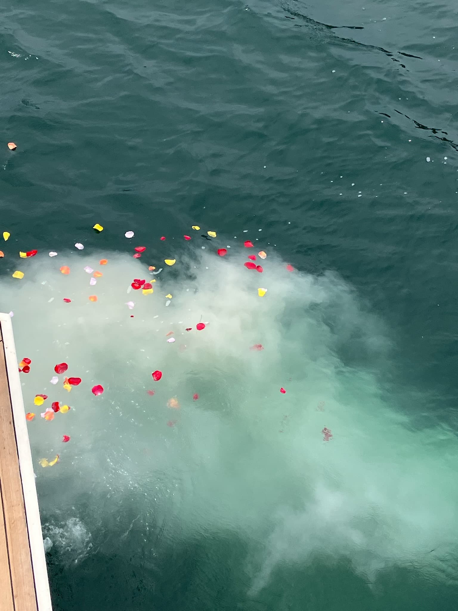 Flower petals and ashes drifting on green Pacific water alongside the hull.
